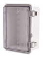 BC-ATP-131810
