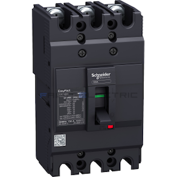 EZC100N3080T